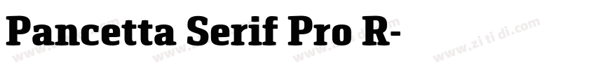 Pancetta Serif Pro R字体转换